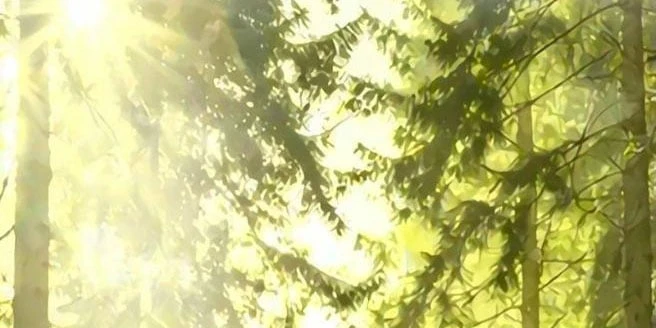 Con Đường Trở Về Nam Cung Của Kiếm Đế Chapter 14 - 133