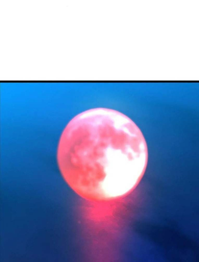 Phòng Gym Hanlim Chapter 128 - 248