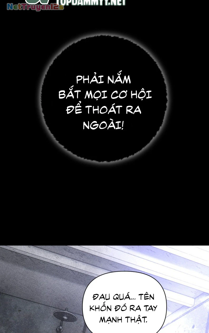 Chạy Trốn Khỏi Tầng Hầm Chapter 1 - 17