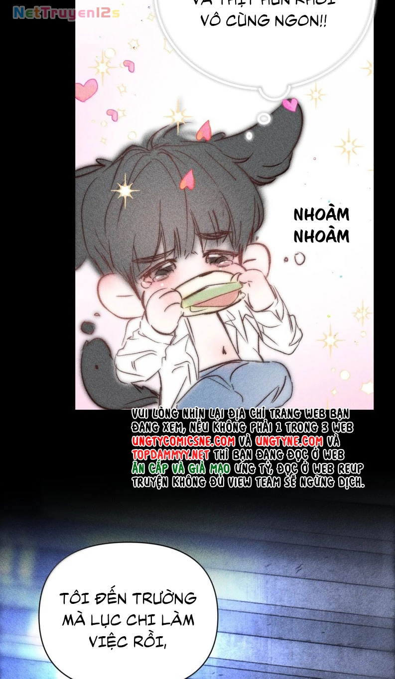 Chạy Trốn Khỏi Tầng Hầm Chapter 9 - 16