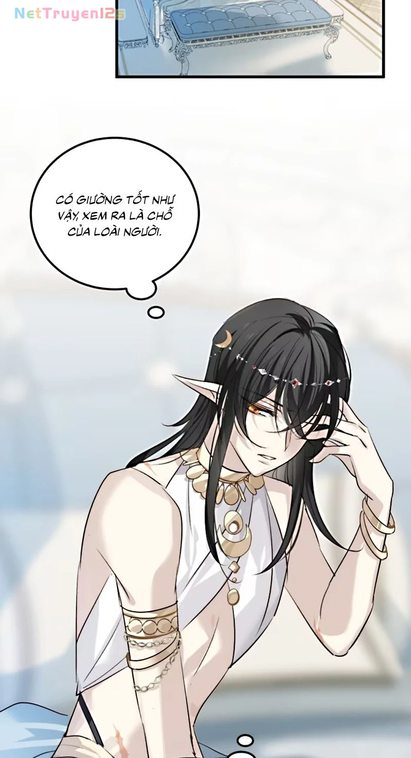 Thân Là Boss Cuối Cùng, Ta Lại Rơi Vào Tay Kẻ Tử Địch Chapter 4 - 5