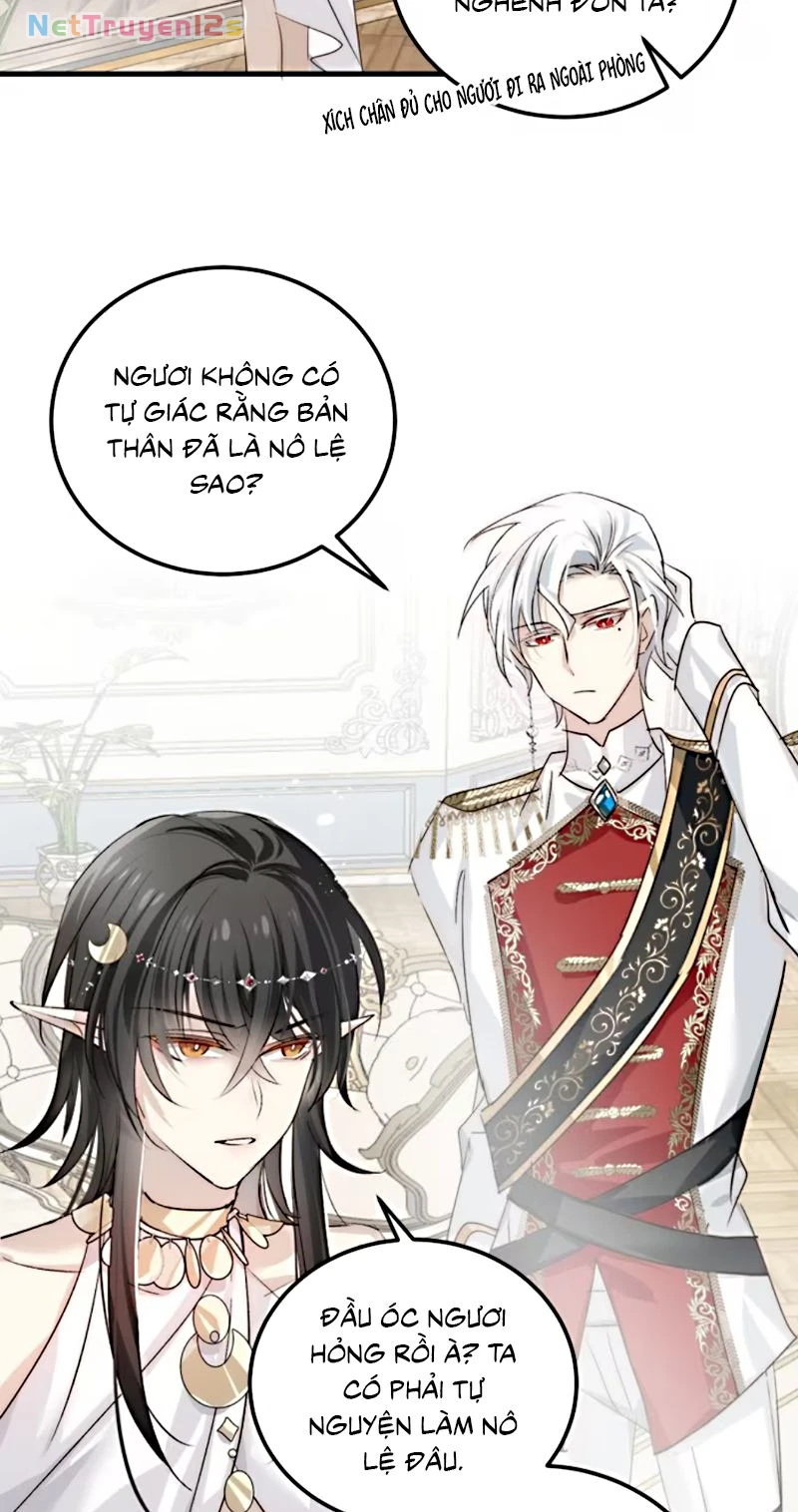 Thân Là Boss Cuối Cùng, Ta Lại Rơi Vào Tay Kẻ Tử Địch Chapter 4 - 47