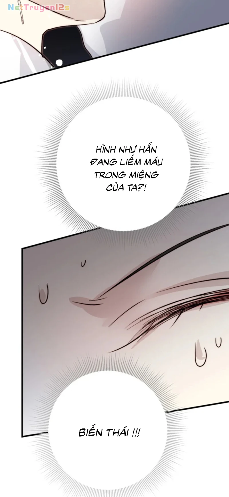 Thân Là Boss Cuối Cùng, Ta Lại Rơi Vào Tay Kẻ Tử Địch Chapter 7 - 13