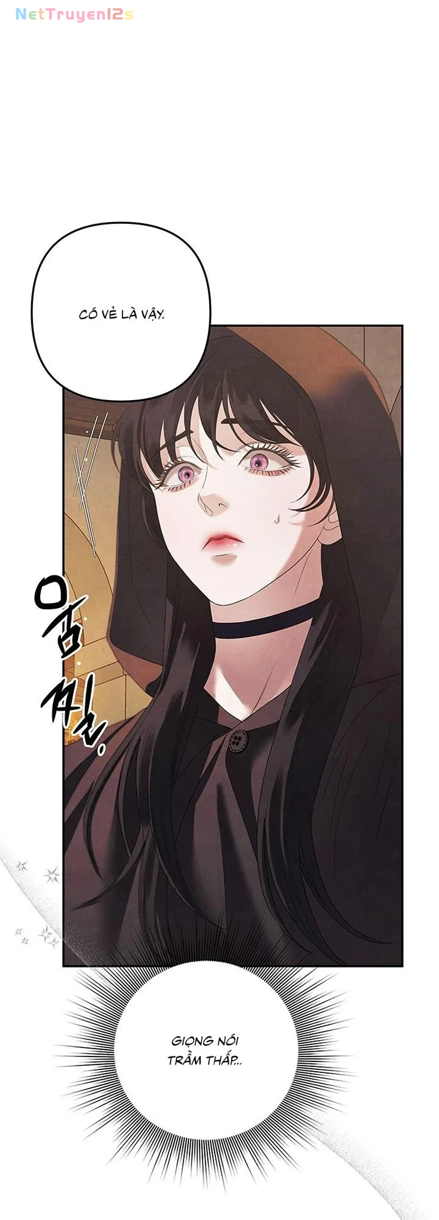 Cuộc Hôn Nhân Bị Cướp Đoạt Chapter 1 - 24