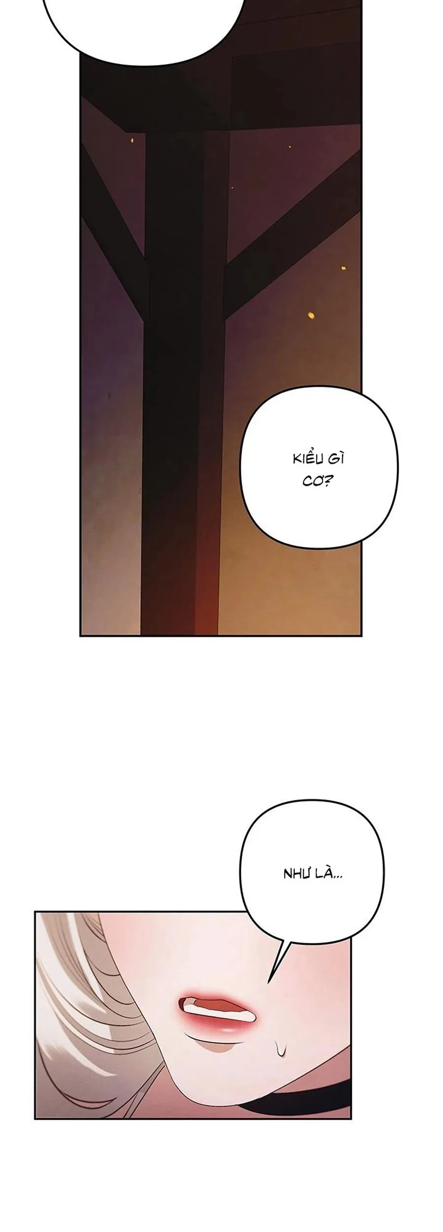 Cuộc Hôn Nhân Bị Cướp Đoạt Chapter 2 - 14