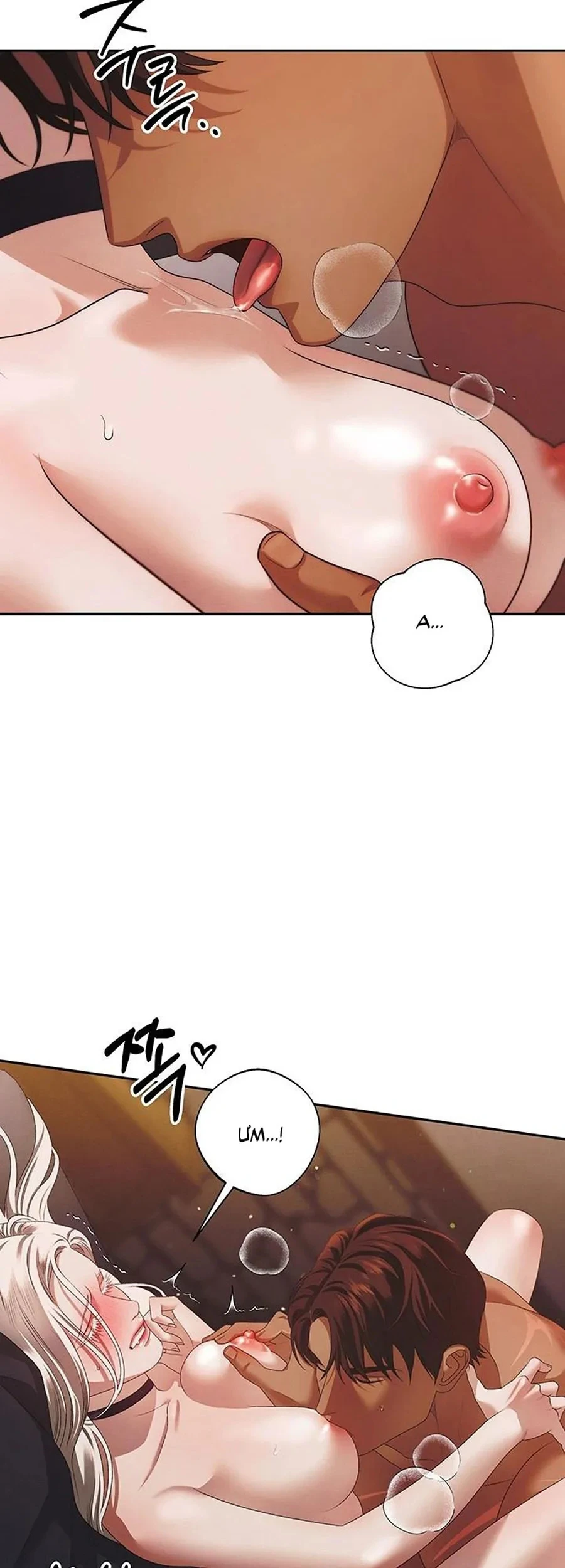 Cuộc Hôn Nhân Bị Cướp Đoạt Chapter 2 - 47