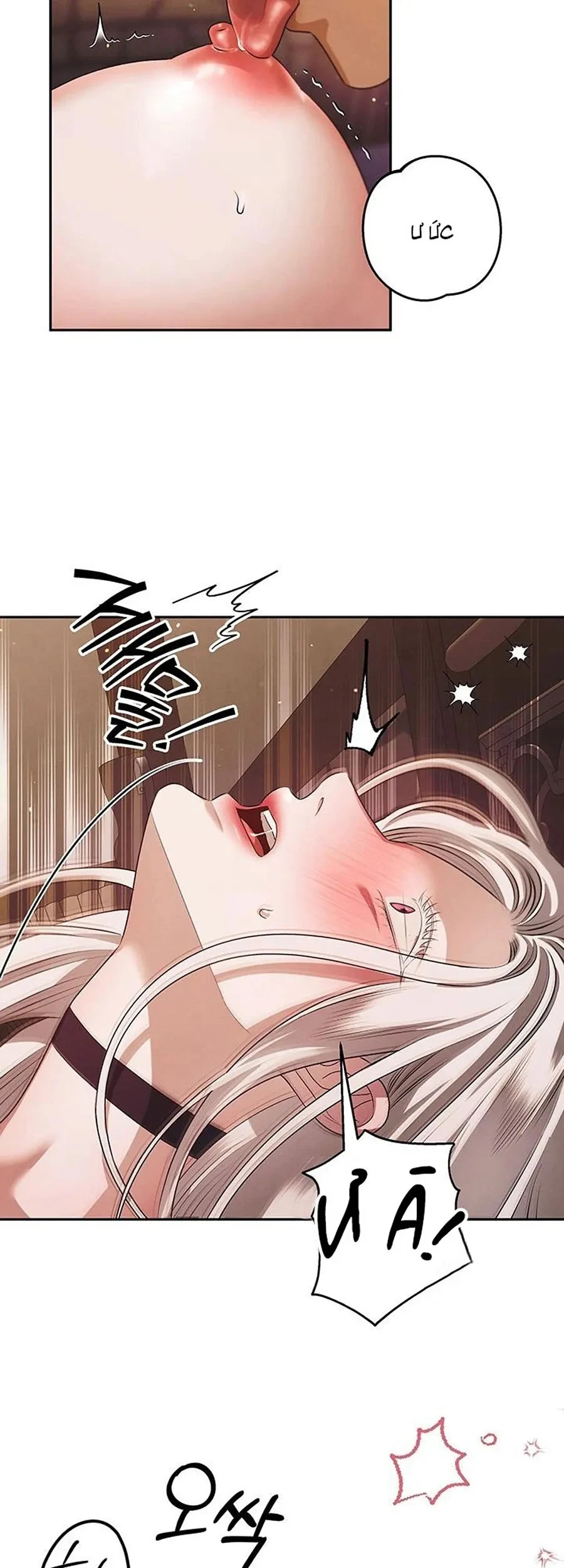 Cuộc Hôn Nhân Bị Cướp Đoạt Chapter 2 - 49