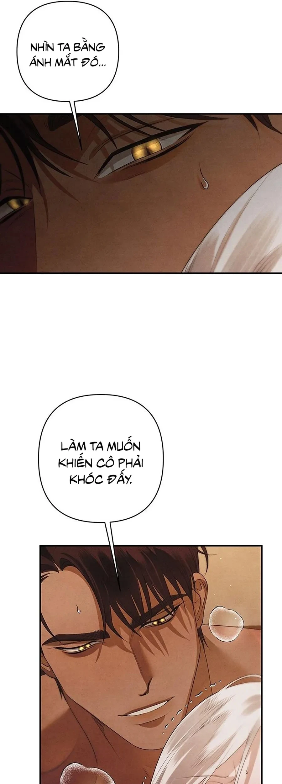 Cuộc Hôn Nhân Bị Cướp Đoạt Chapter 3 - 25