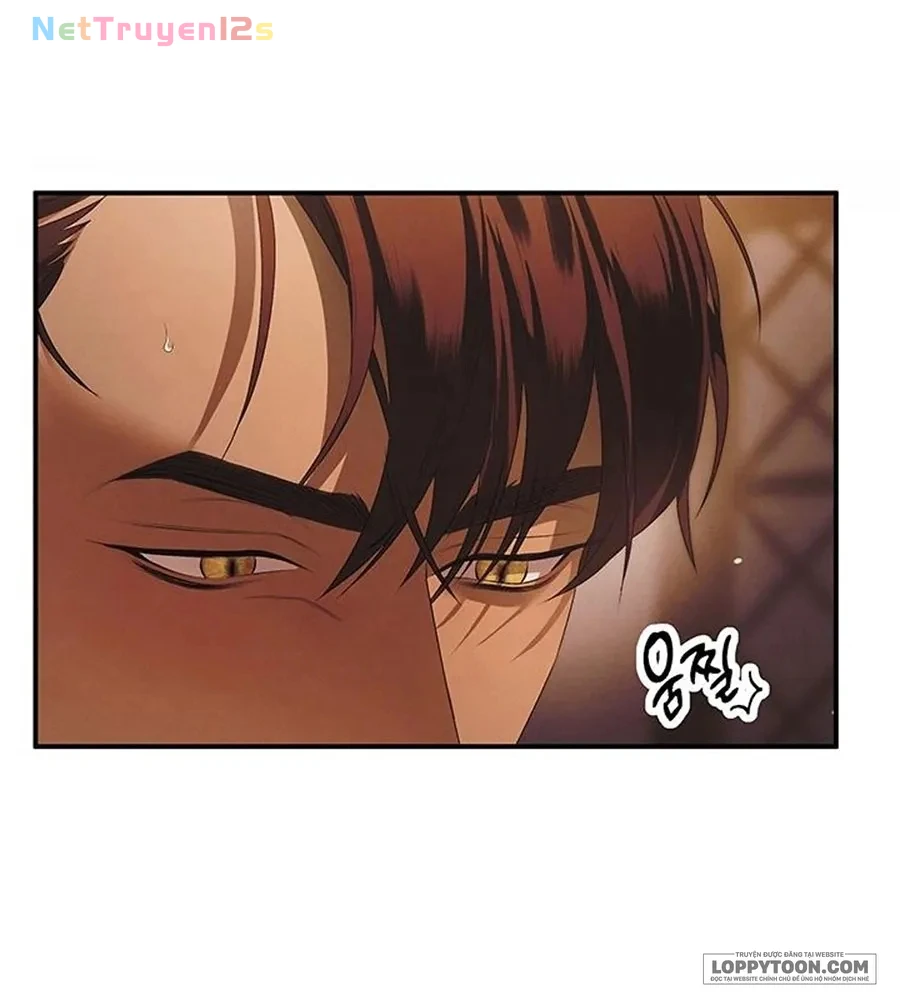 Cuộc Hôn Nhân Bị Cướp Đoạt Chapter 3 - 55