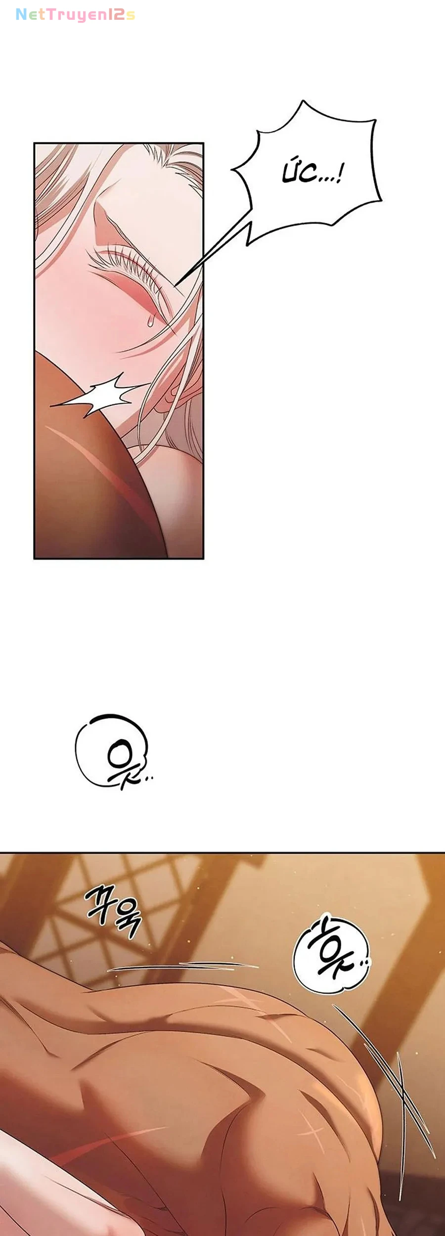 Cuộc Hôn Nhân Bị Cướp Đoạt Chapter 4 - 15