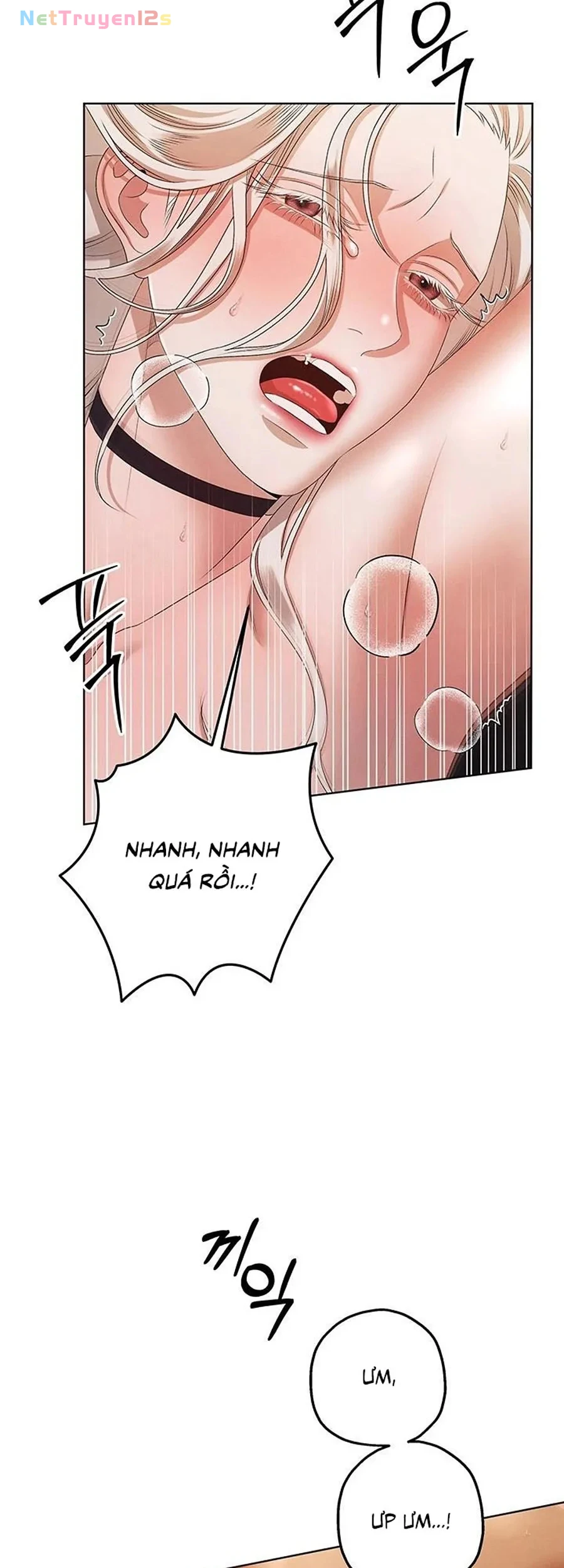 Cuộc Hôn Nhân Bị Cướp Đoạt Chapter 4 - 54
