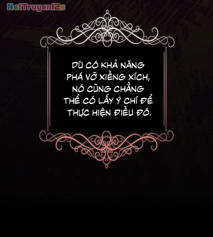 Cuộc Hôn Nhân Bị Cướp Đoạt Chapter 9 - 29
