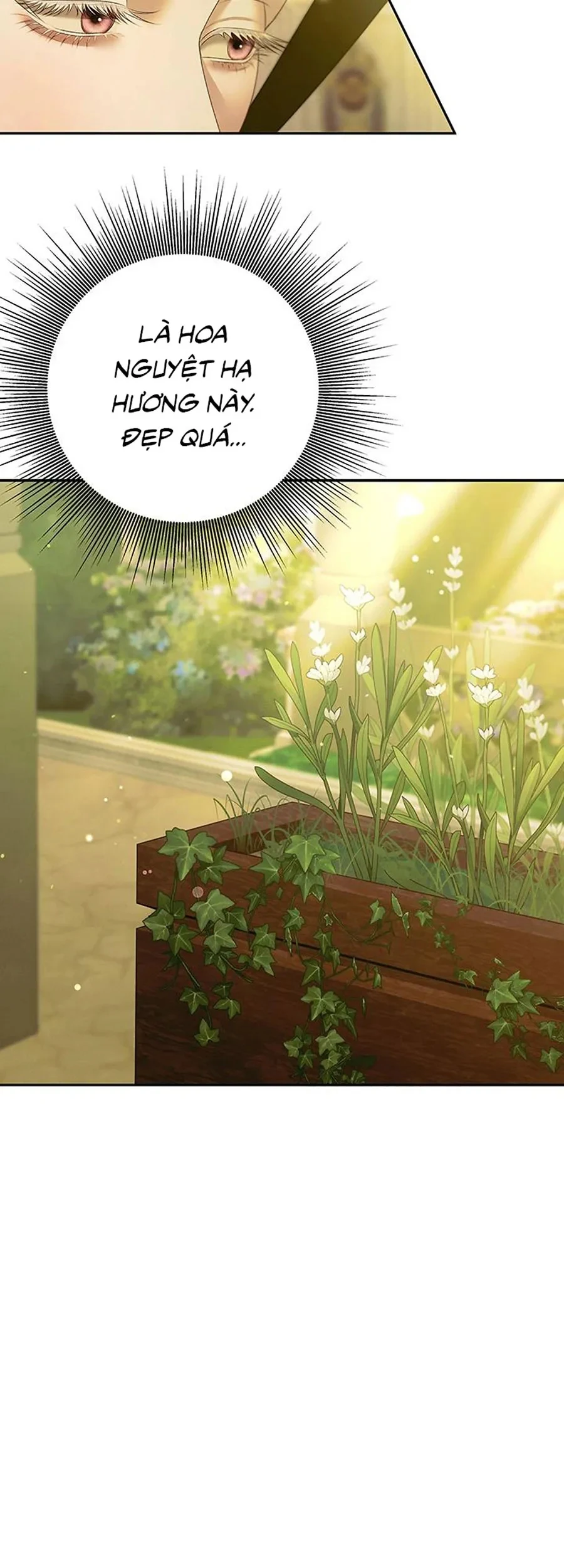 Cuộc Hôn Nhân Bị Cướp Đoạt Chapter 10 - 27