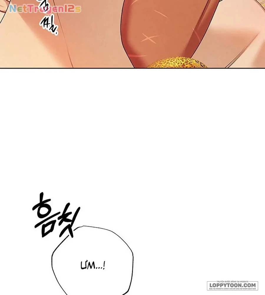 Cuộc Hôn Nhân Bị Cướp Đoạt Chapter 11 - 32