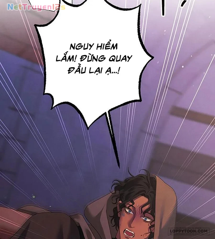 Cuộc Hôn Nhân Bị Cướp Đoạt Chapter 16 - 31