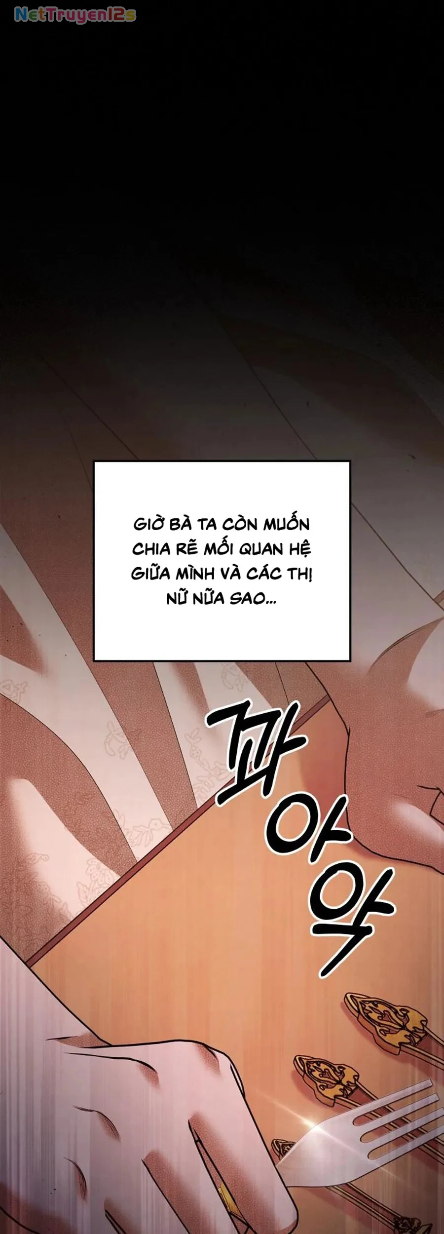 Cuộc Hôn Nhân Bị Cướp Đoạt Chapter 28 - 14