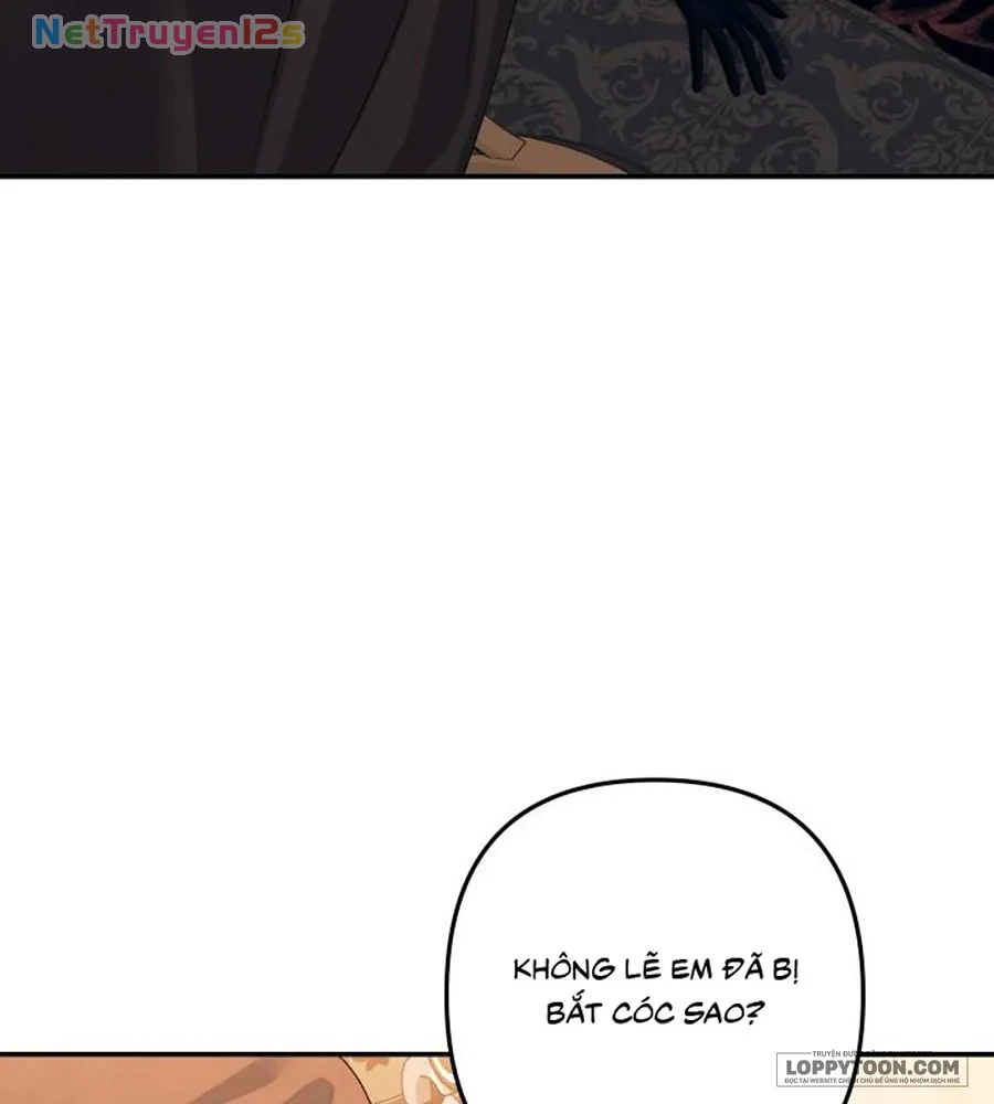 Cuộc Hôn Nhân Bị Cướp Đoạt Chapter 31 - 60