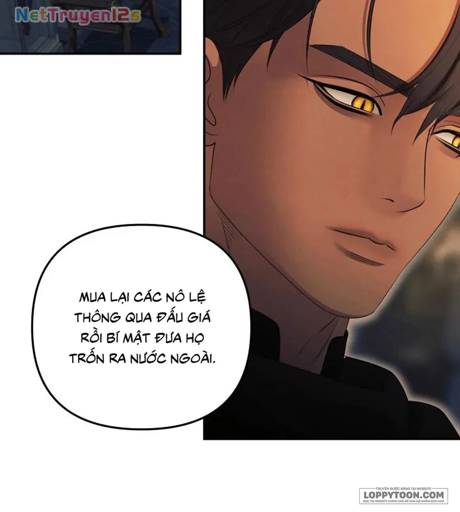 Cuộc Hôn Nhân Bị Cướp Đoạt Chapter 32 - 16