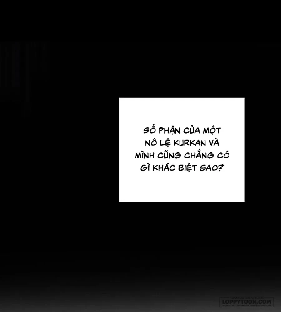 Cuộc Hôn Nhân Bị Cướp Đoạt Chapter 33 - 48