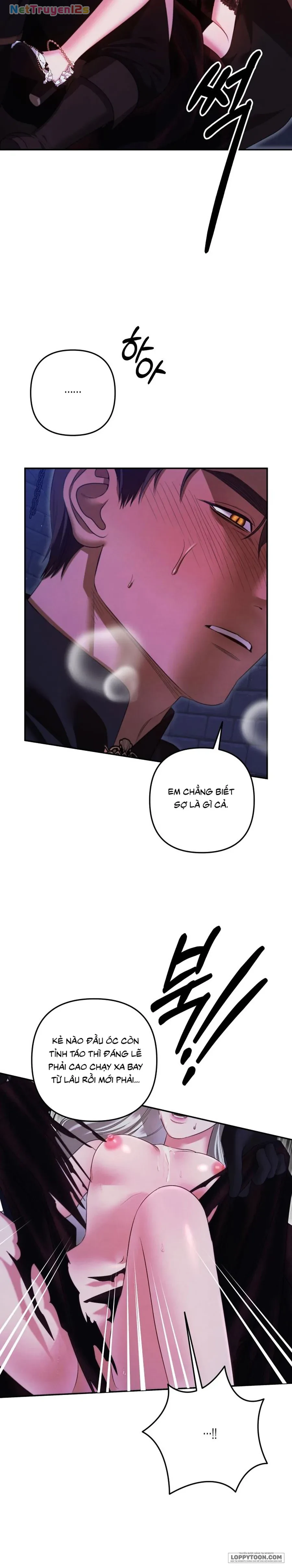 Cuộc Hôn Nhân Bị Cướp Đoạt Chapter 35 - 52