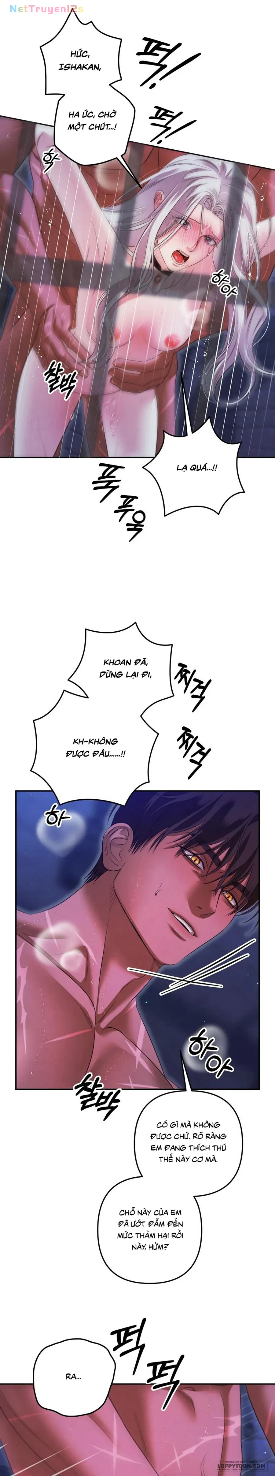 Cuộc Hôn Nhân Bị Cướp Đoạt Chapter 36 - 52
