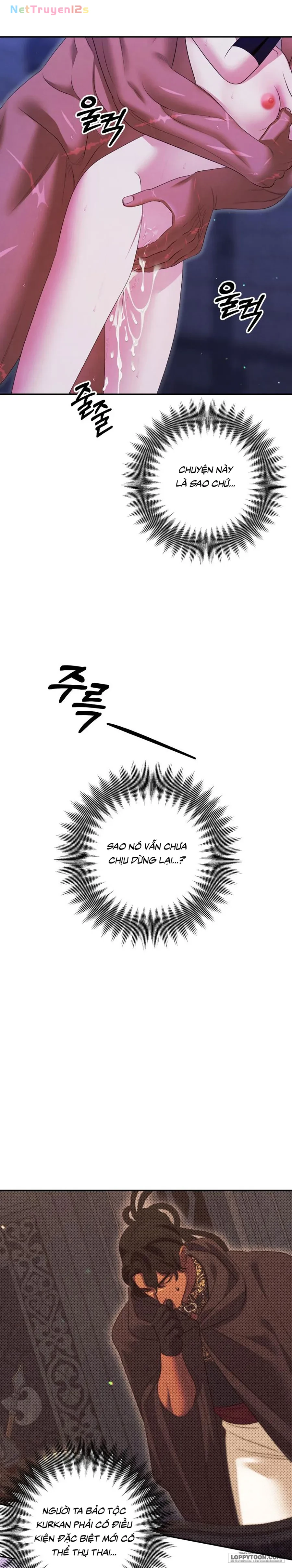 Cuộc Hôn Nhân Bị Cướp Đoạt Chapter 37 - 13