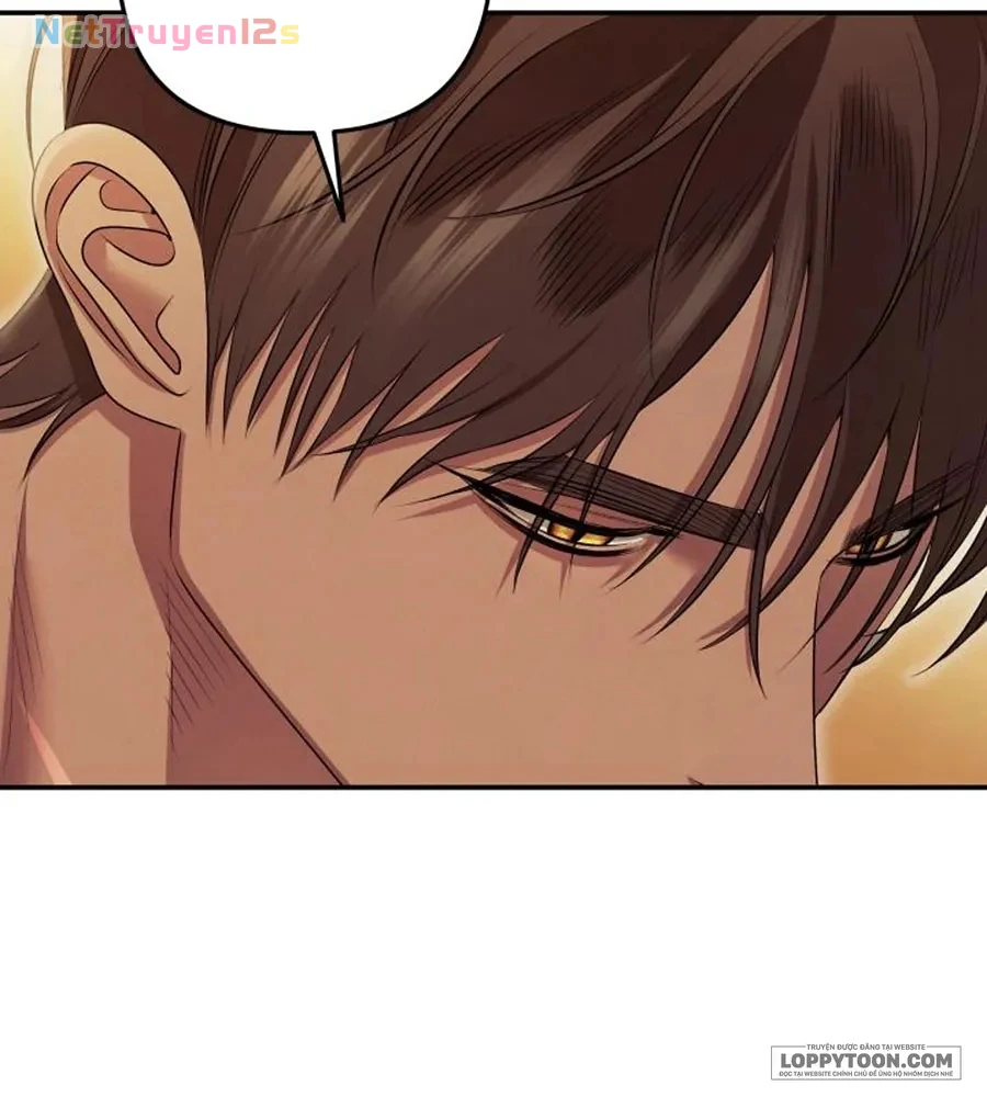 Cuộc Hôn Nhân Bị Cướp Đoạt Chapter 37 - 64