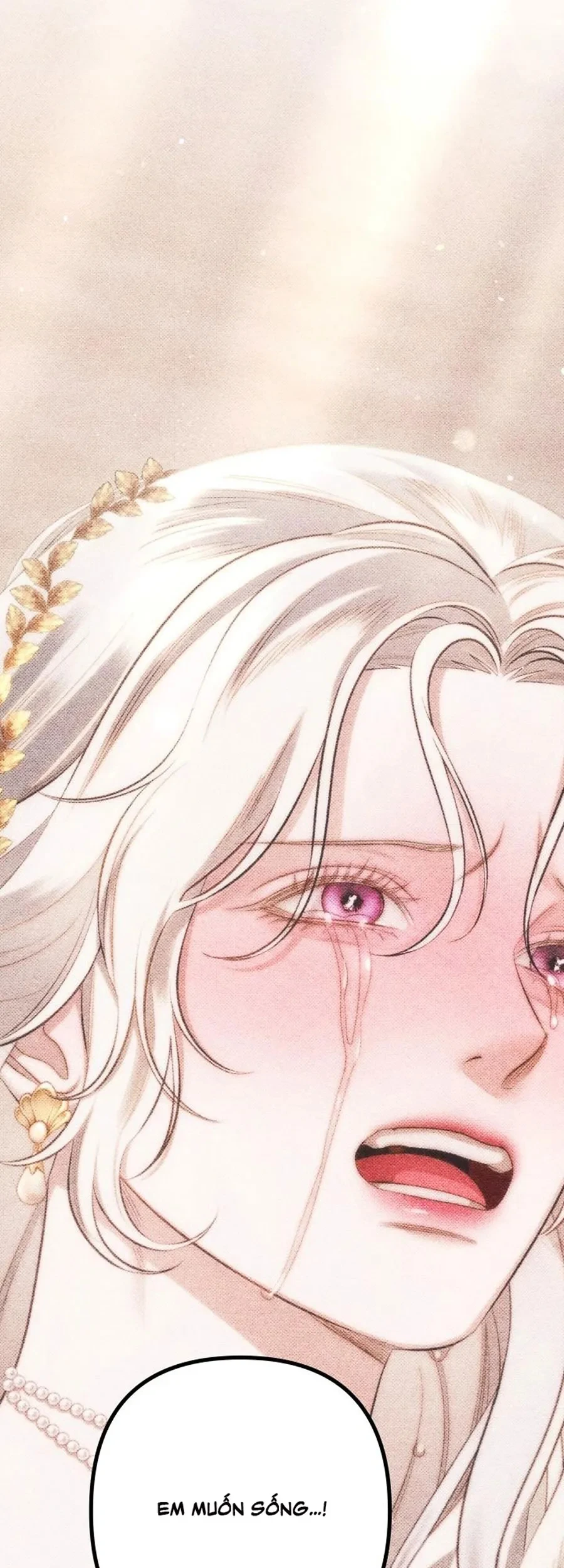 Cuộc Hôn Nhân Bị Cướp Đoạt Chapter 41 - 23