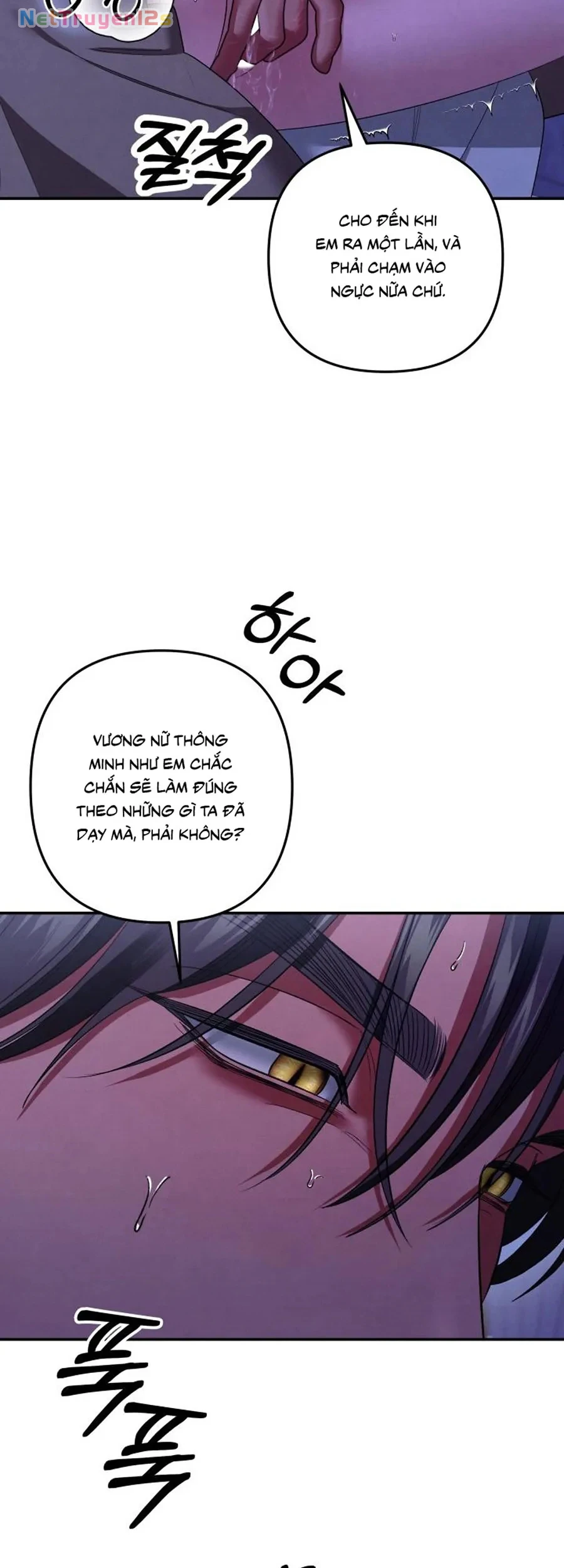 Cuộc Hôn Nhân Bị Cướp Đoạt Chapter 45 - 66