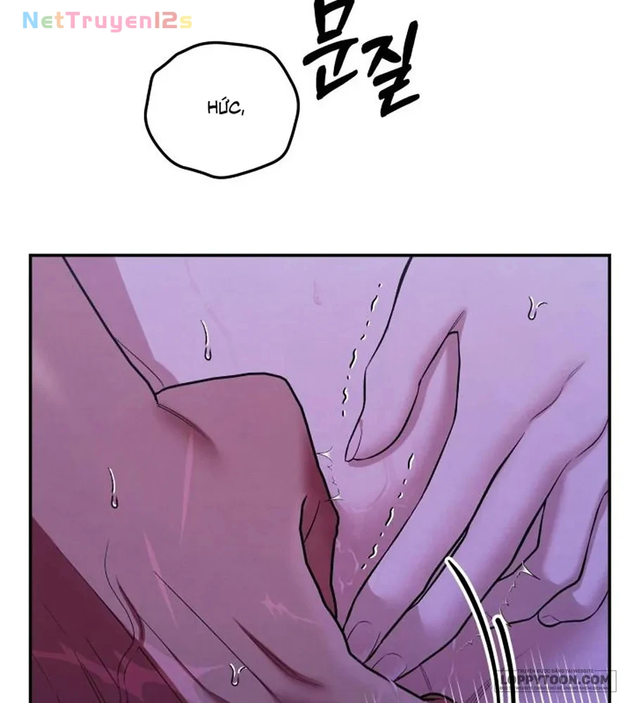 Cuộc Hôn Nhân Bị Cướp Đoạt Chapter 45 - 67