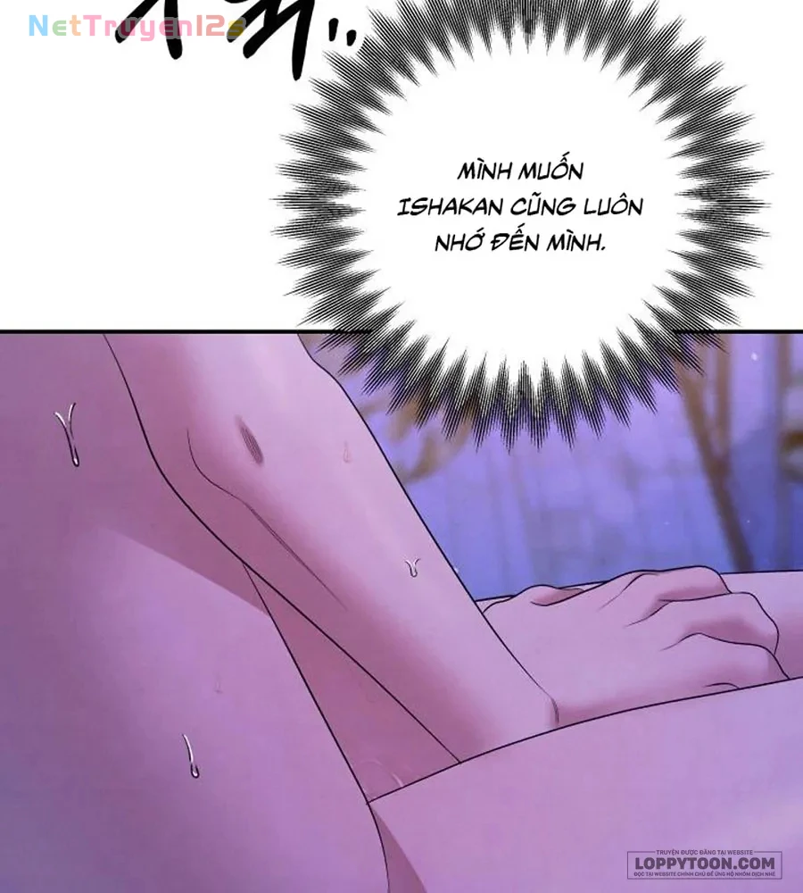 Cuộc Hôn Nhân Bị Cướp Đoạt Chapter 46 - 12