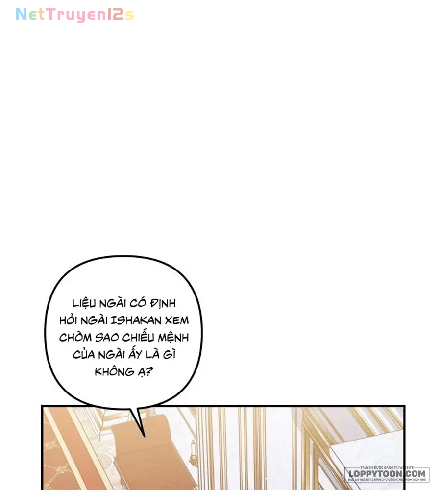 Cuộc Hôn Nhân Bị Cướp Đoạt Chapter 48 - 12