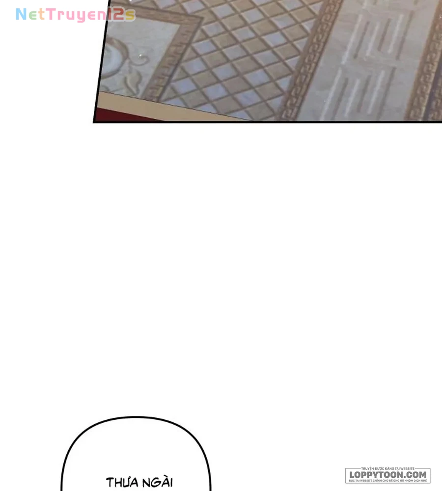 Cuộc Hôn Nhân Bị Cướp Đoạt Chapter 48 - 15