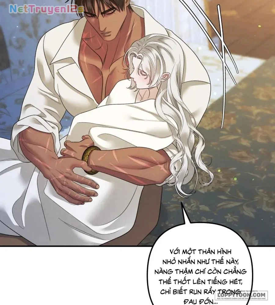 Cuộc Hôn Nhân Bị Cướp Đoạt Chapter 48 - 41