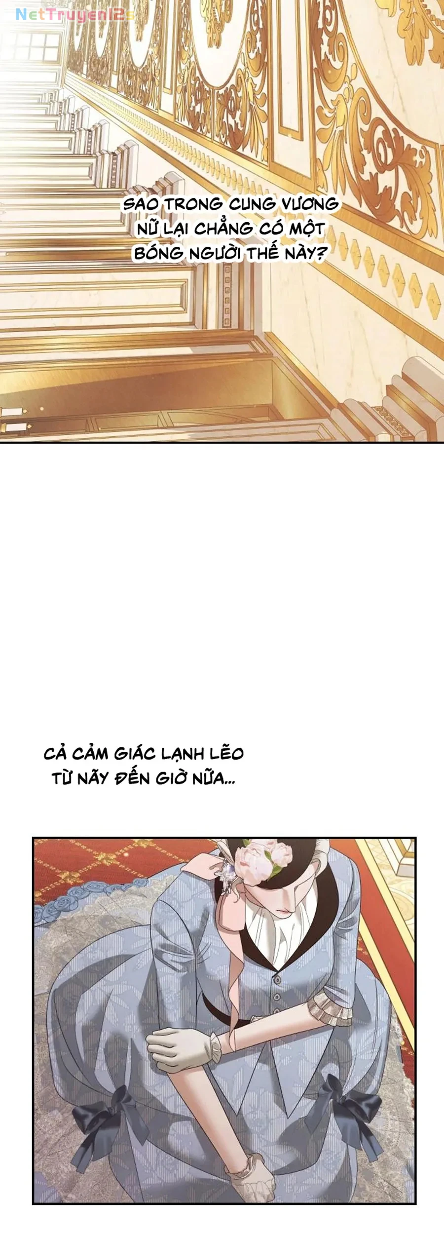 Cuộc Hôn Nhân Bị Cướp Đoạt Chapter 49 - 71