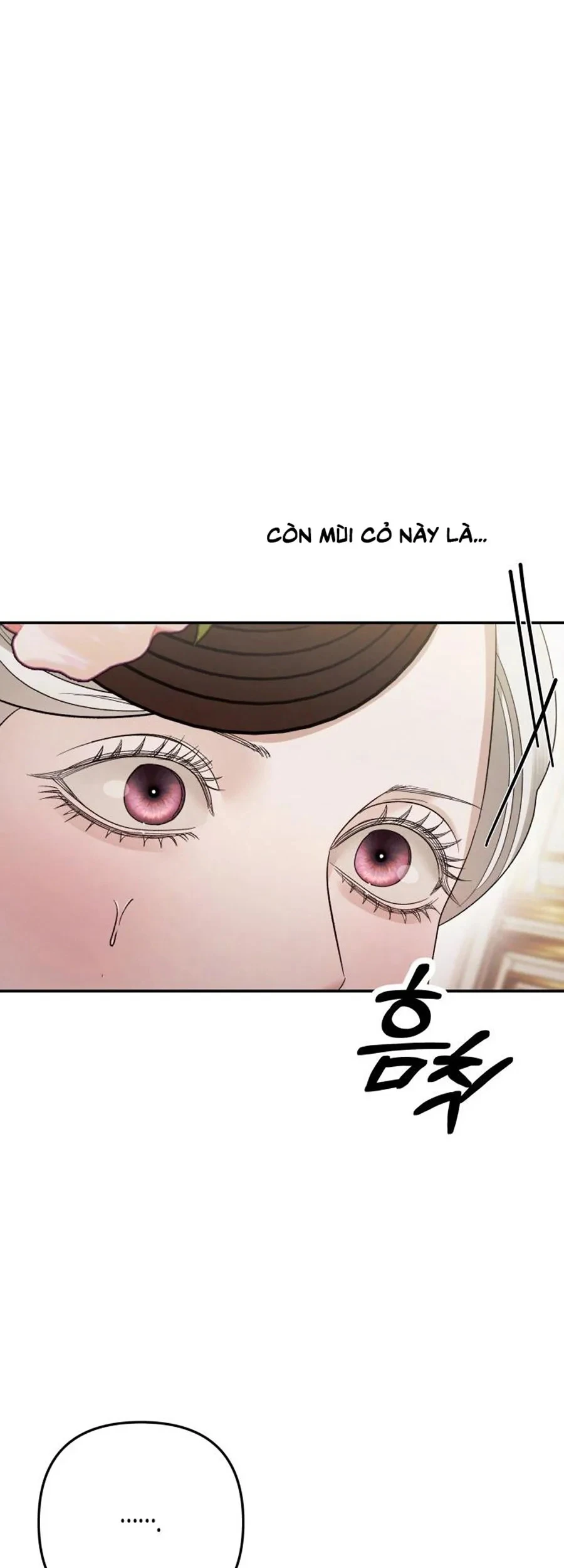 Cuộc Hôn Nhân Bị Cướp Đoạt Chapter 49 - 72