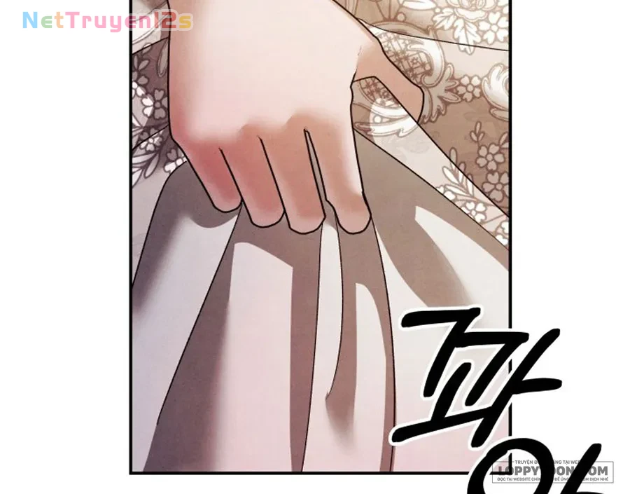 Cuộc Hôn Nhân Bị Cướp Đoạt Chapter 52 - 52