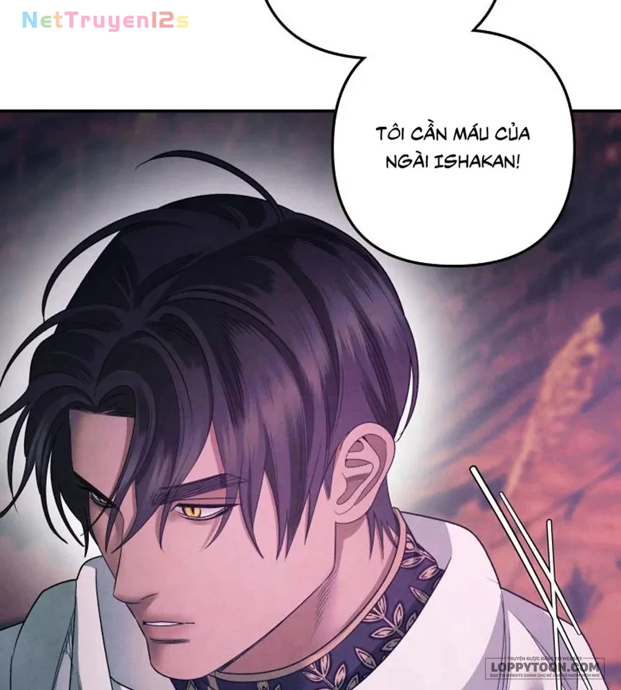 Cuộc Hôn Nhân Bị Cướp Đoạt Chapter 53 - 73
