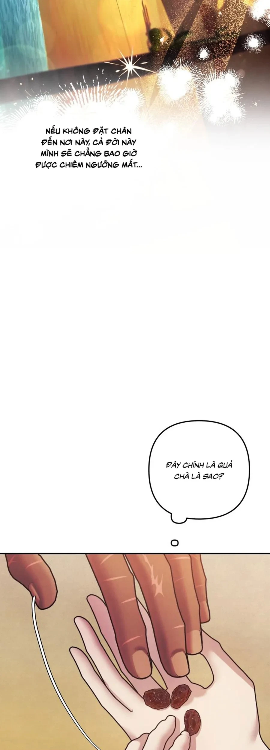 Cuộc Hôn Nhân Bị Cướp Đoạt Chapter 55 - 62