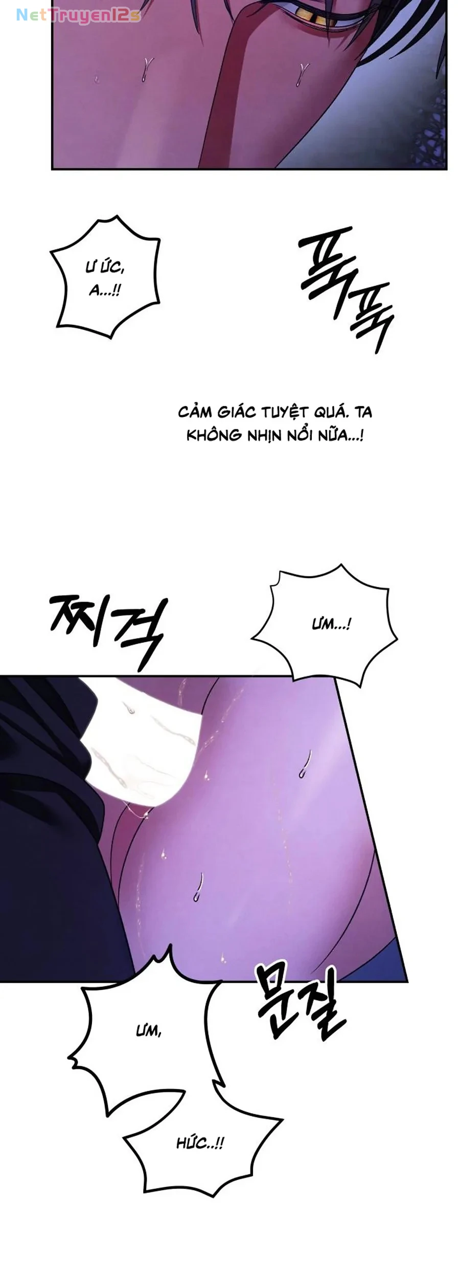 Cuộc Hôn Nhân Bị Cướp Đoạt Chapter 59 - 26