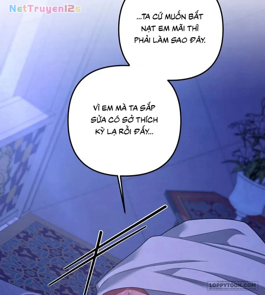 Cuộc Hôn Nhân Bị Cướp Đoạt Chapter 60 - 38