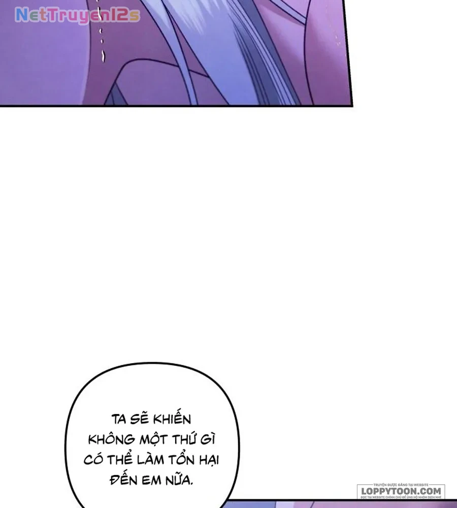 Cuộc Hôn Nhân Bị Cướp Đoạt Chapter 60 - 48
