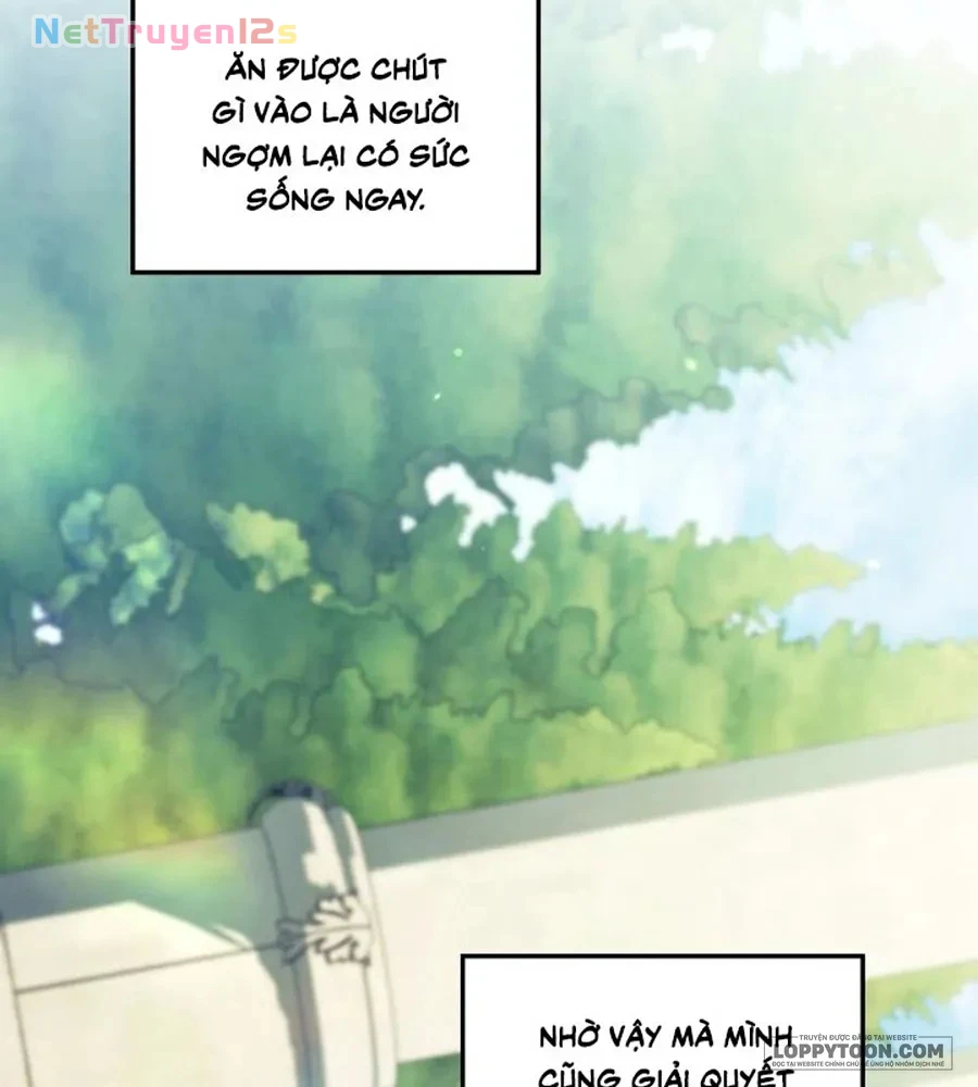 Cuộc Hôn Nhân Bị Cướp Đoạt Chapter 86 - 73