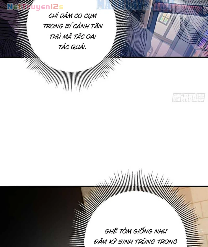 Thích Khách Này Quang Minh Lỗi Lạc Chapter 2 - 41