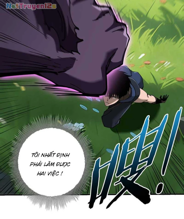 Thích Khách Này Quang Minh Lỗi Lạc Chapter 3 - 52