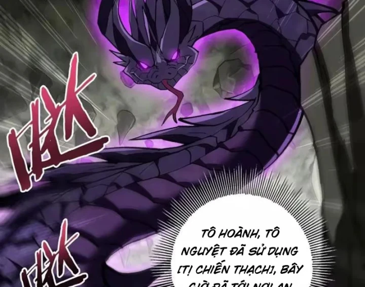 Thích Khách Này Quang Minh Lỗi Lạc Chapter 6 - 5