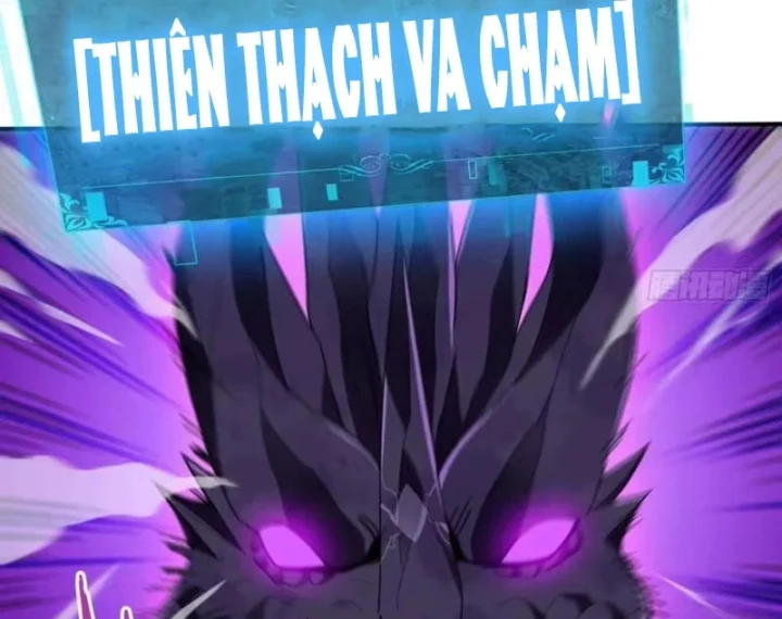 Thích Khách Này Quang Minh Lỗi Lạc Chapter 6 - 52