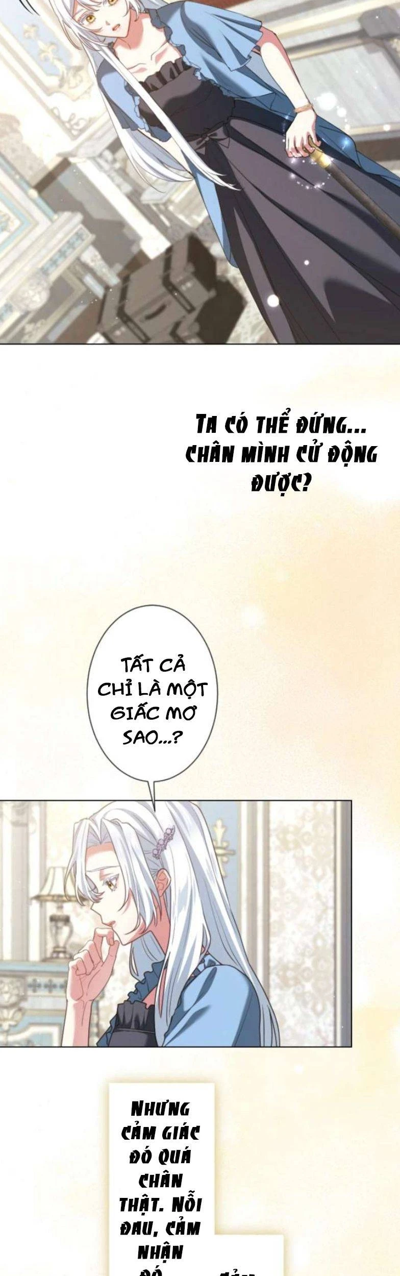 Chiêm Ngưỡng Nữ Phản Diện Hoàn Hảo Chapter 2 - 47