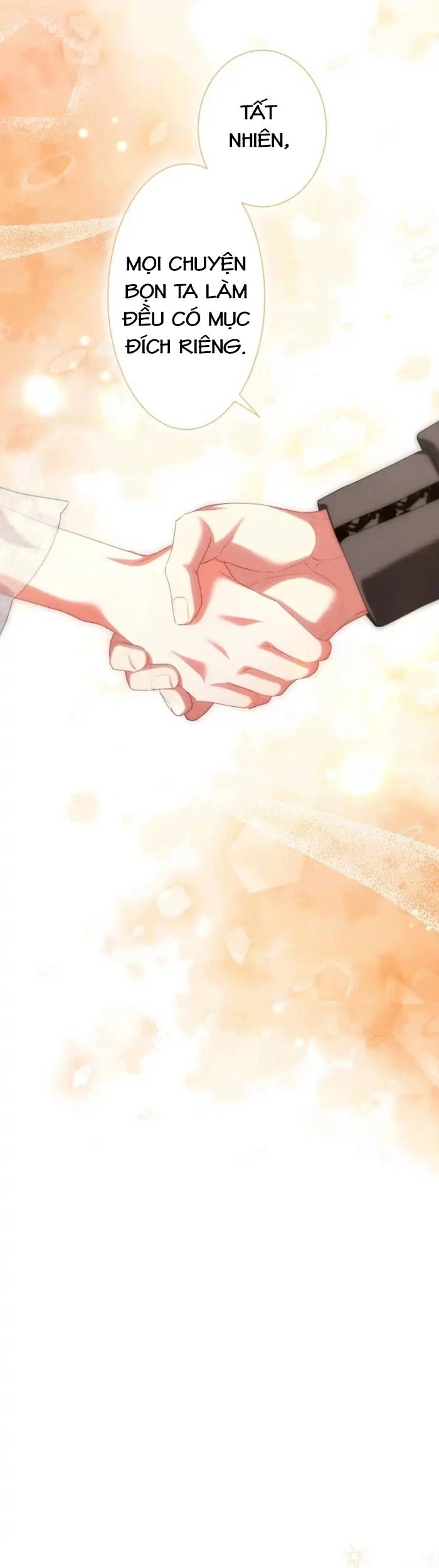 Chiêm Ngưỡng Nữ Phản Diện Hoàn Hảo Chapter 12 - 29