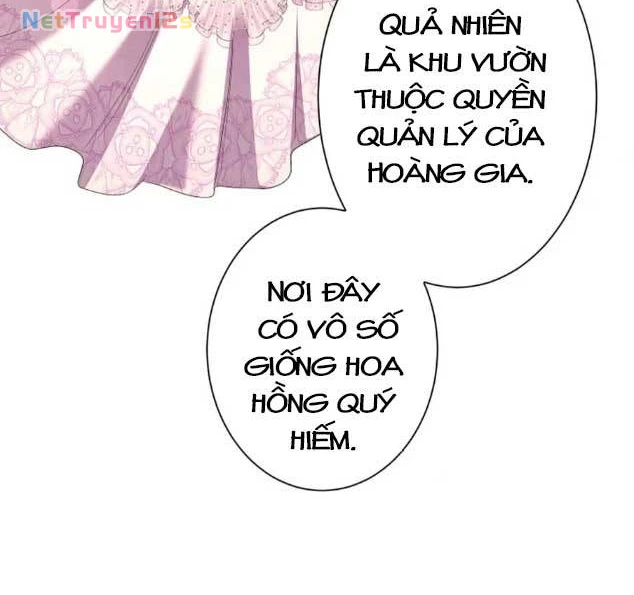 Chiêm Ngưỡng Nữ Phản Diện Hoàn Hảo Chapter 29 - 21